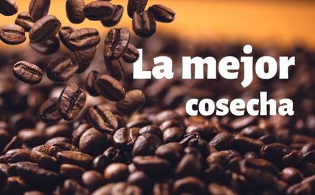 Un montón de granos de café con las palabras la mejor cosecha