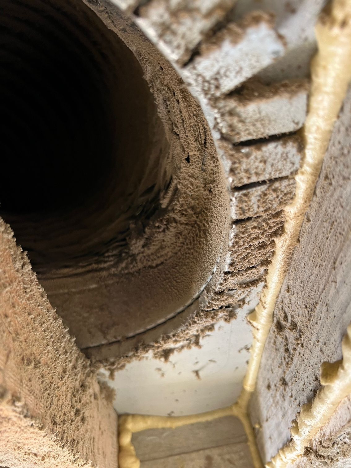 Step-by-Step Dryer Vent Cleaning Process
