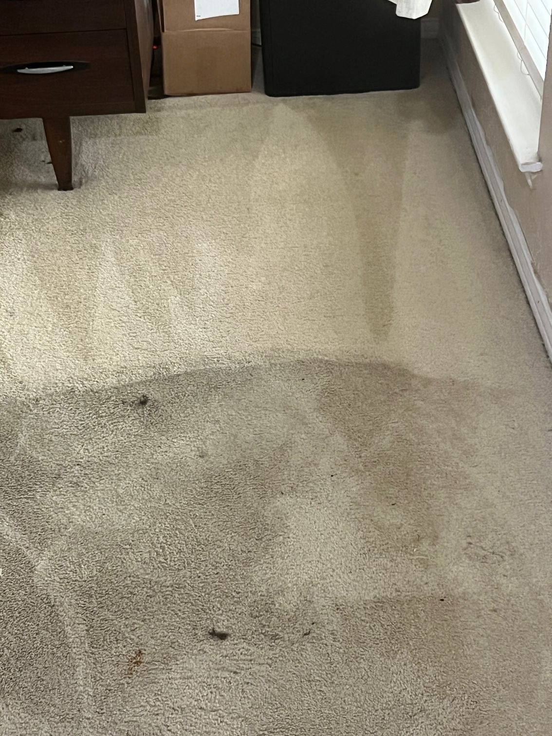 Person in blue coveralls cleans white carpet with a vacuum, yellow vacuum in background.