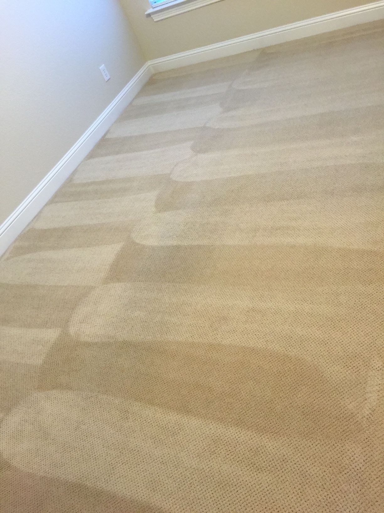 Beige carpeted floor with clean and stained areas, next to a white baseboard and a window.