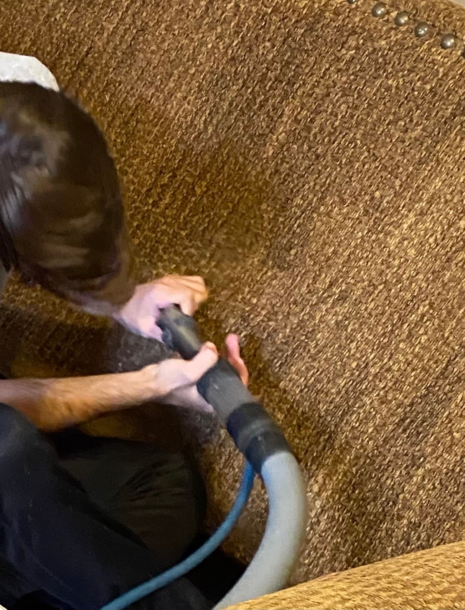 Person vacuuming a brown carpet, holding a vacuum hose and nozzle.