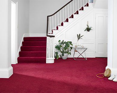 abingdon flooring wilton royal carpet range