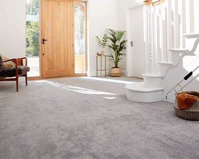 shop Carpet, buy carpet, Carpet shop, Flooring shop, mobile carpet, carpet man, carpets, flooring