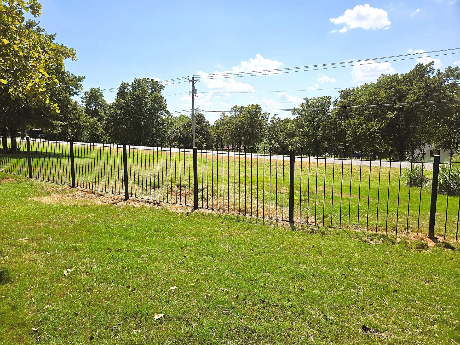 Black metal fence on a grassy hill, trees in the background, bright blue sky.