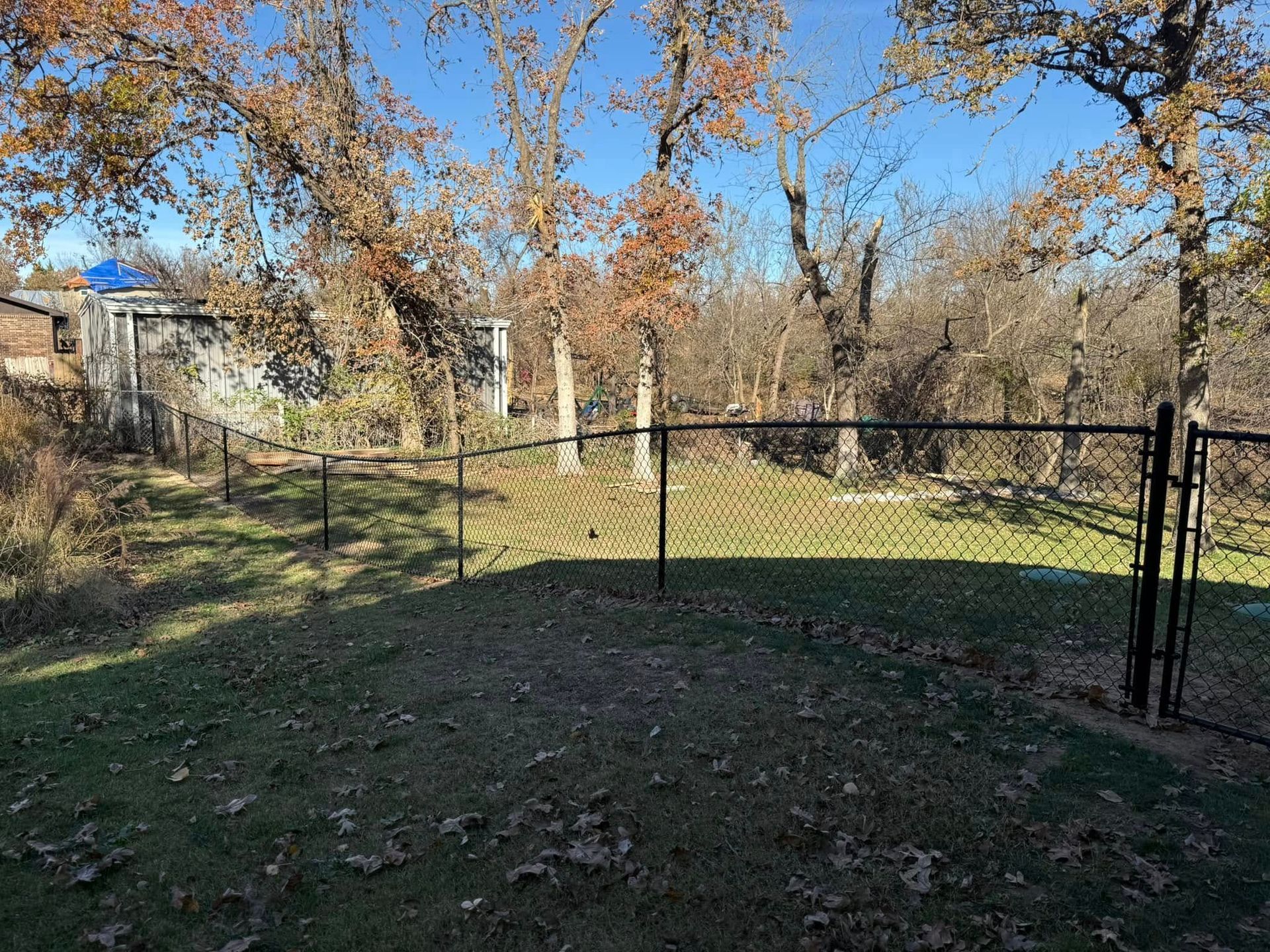 A black chain-link fence encloses a grassy backyard with trees and a shed under a blue sky.