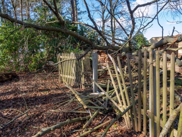 Broken fence after a storm with a fallen tree.
