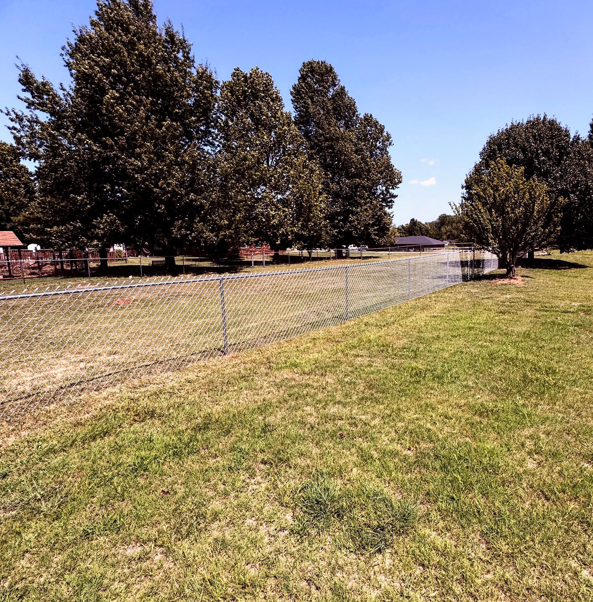 Grassy yard with chain-link fence and large trees under a blue sky.