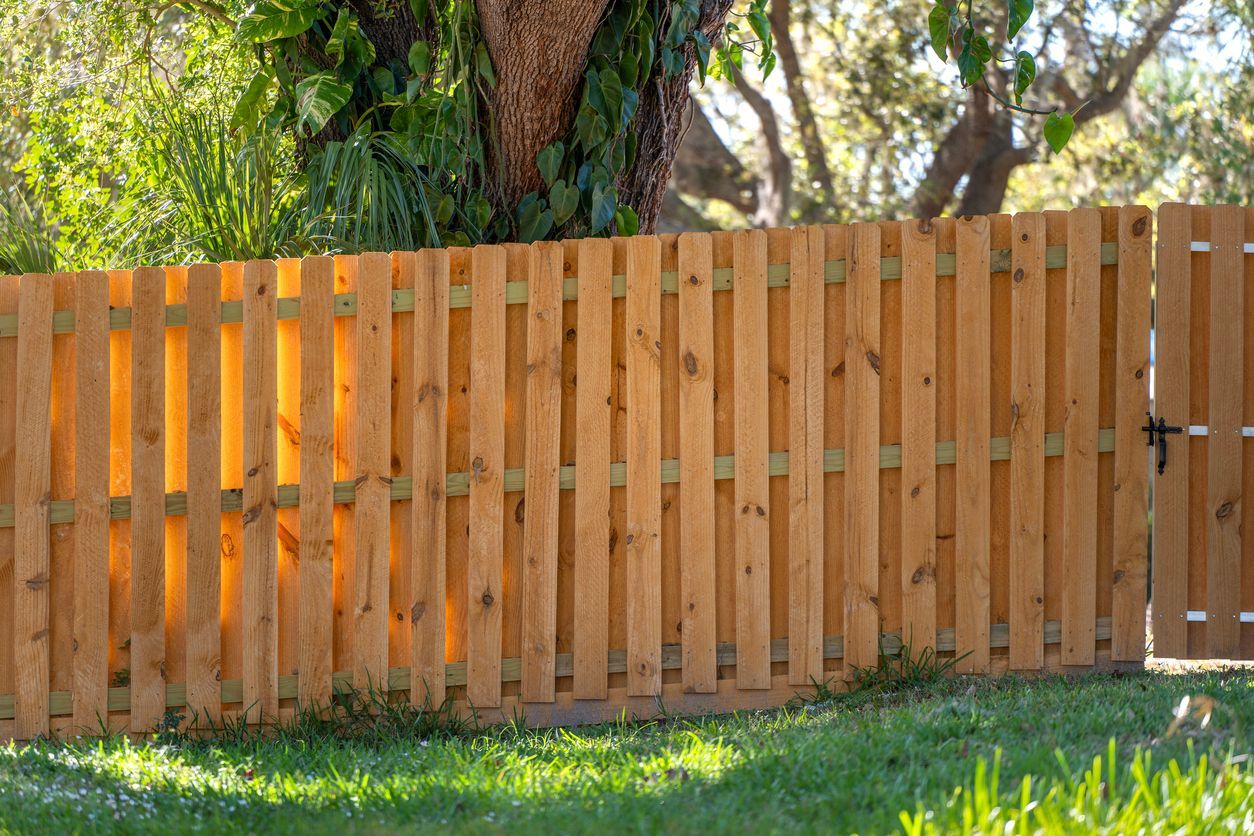 Wooden fence with a gate in a sunny grassy yard, with large trees behind it.
