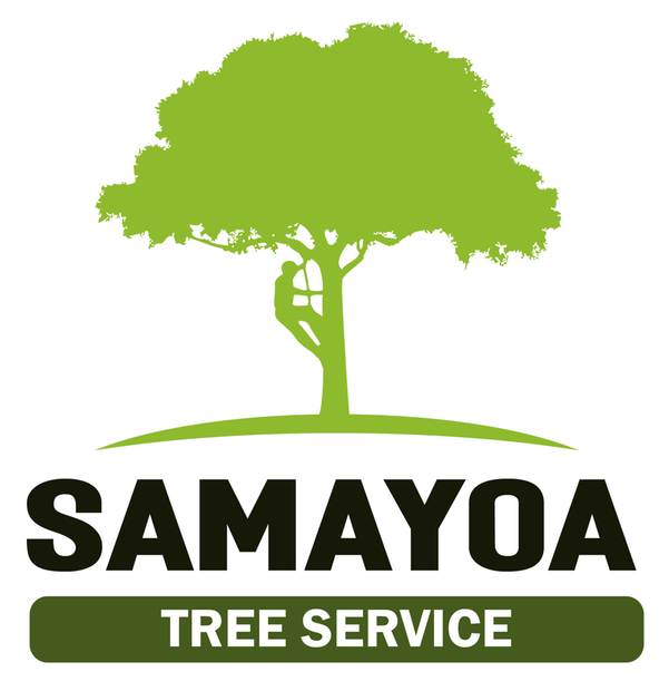 Samayoa Tree Service logo with green tree and bold black text on white background