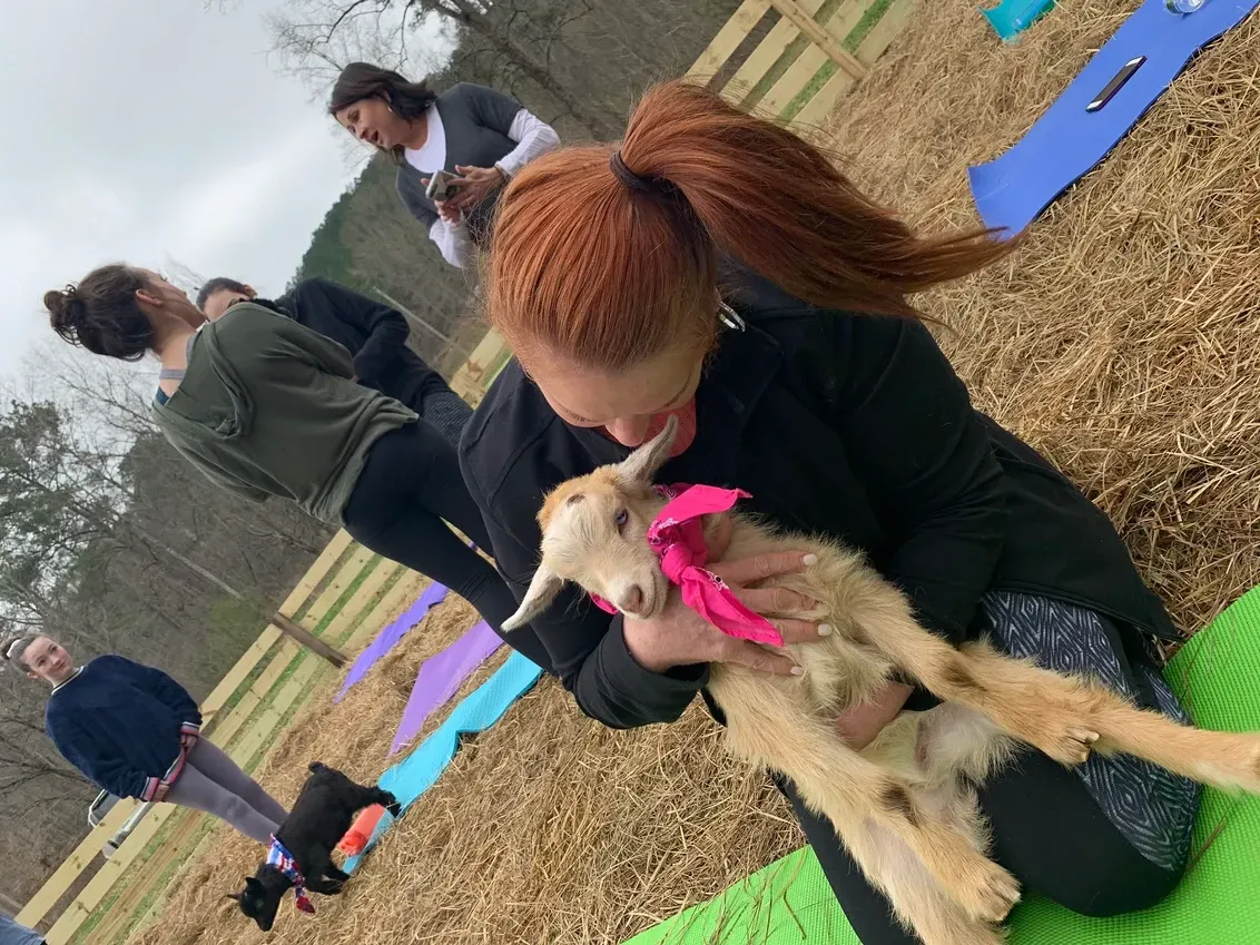 A woman is holding a baby goat on a yoga mat.