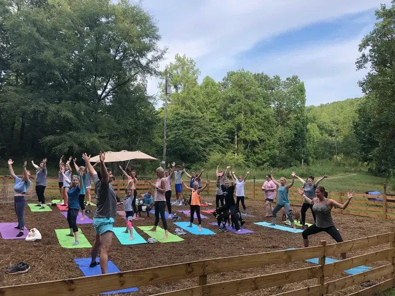 A group of people are doing yoga outside in a park.