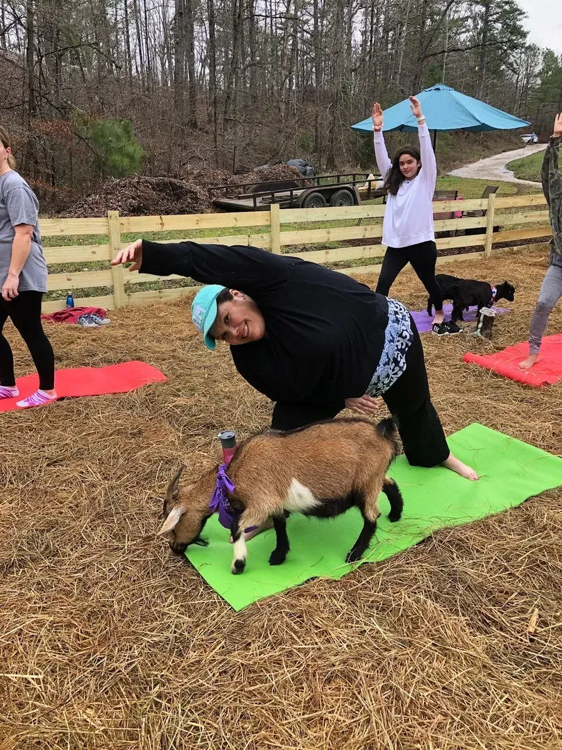 A woman is doing yoga with a goat on a yoga mat.