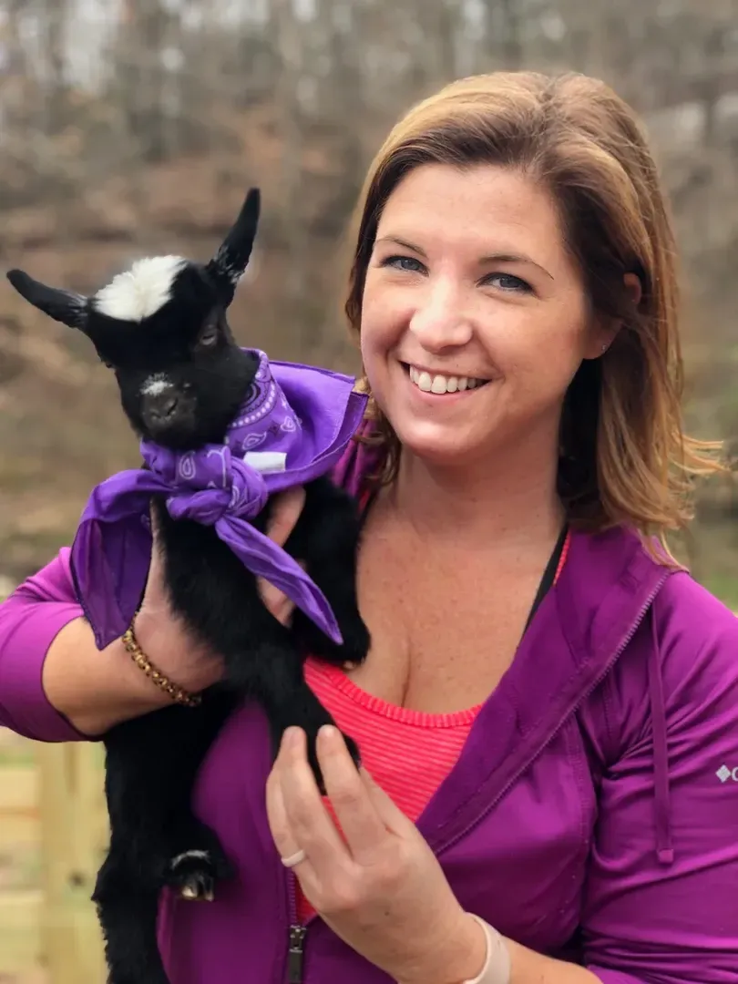 A woman in a purple jacket is holding a small goat wearing a purple scarf