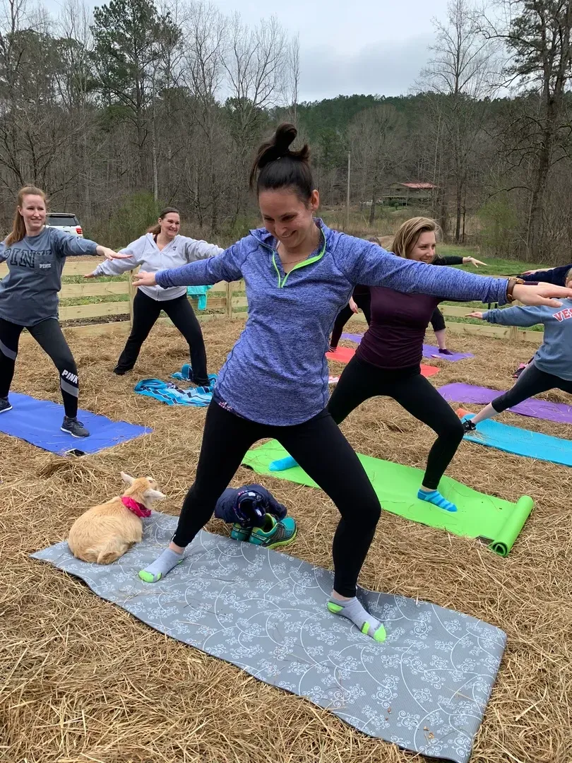 A group of people are doing yoga in a field with a dog.