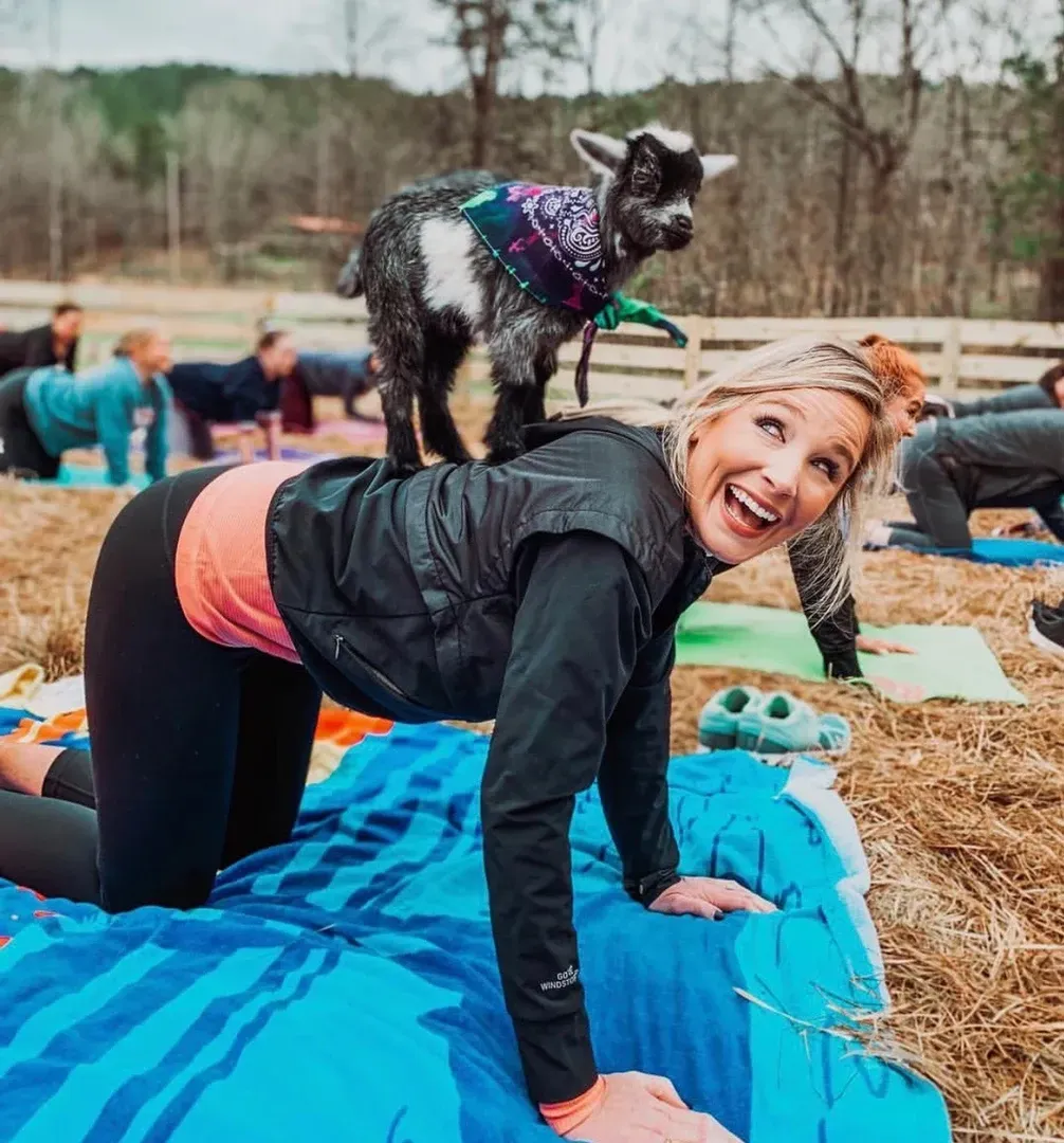 A woman is doing yoga with a goat on her back.
