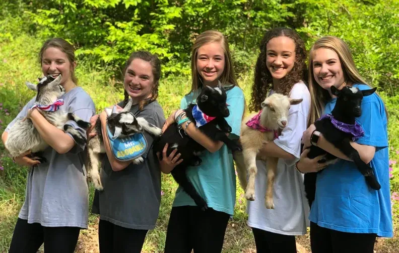 A group of girls are standing next to each other holding goats.