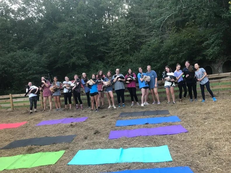 A group of people are standing in a field with yoga mats.