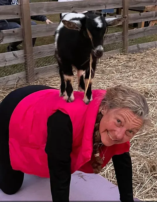 A woman is kneeling down with a goat on her back