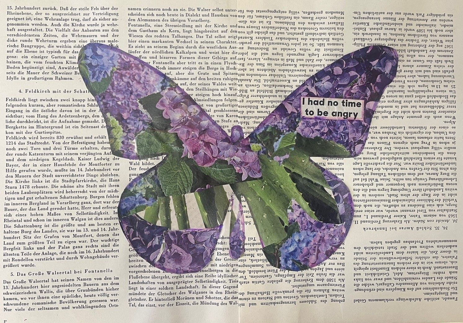 Purple and green butterfly collage on a newspaper background with the text “I had no time to be a berry”.