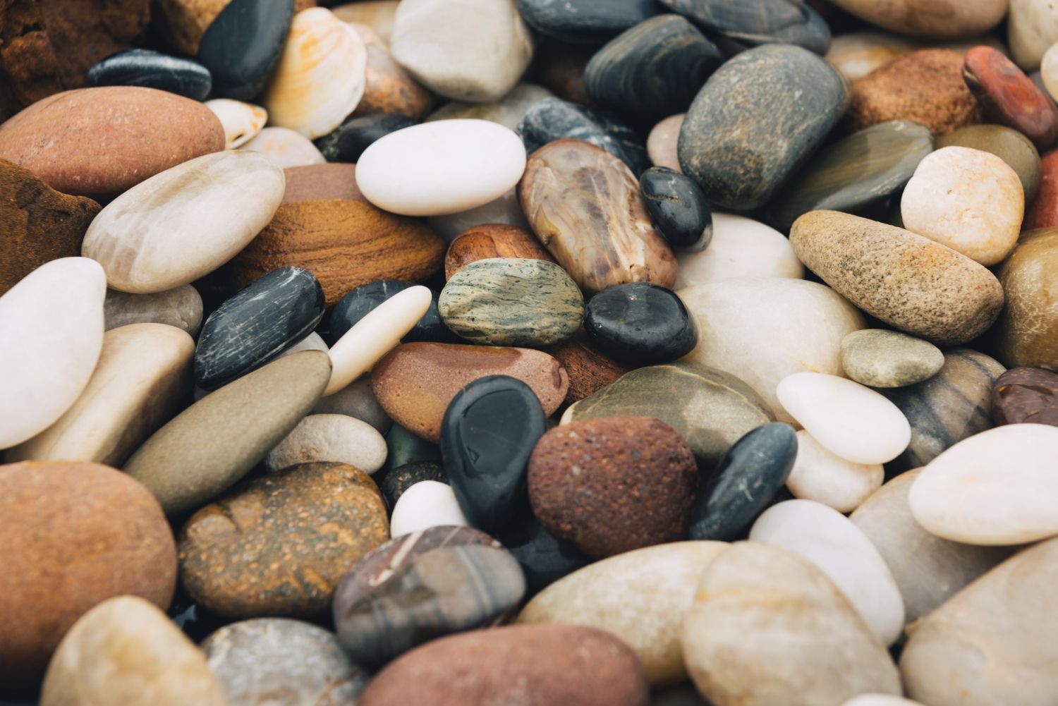 River Rock/Decorative Rock
