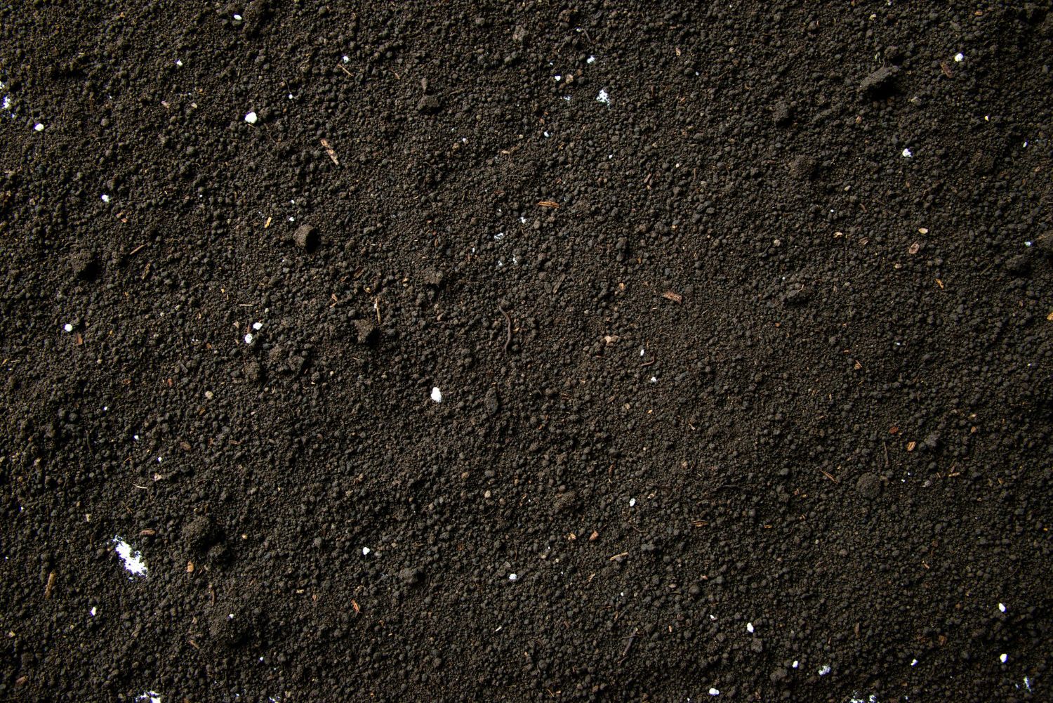 Top Soil