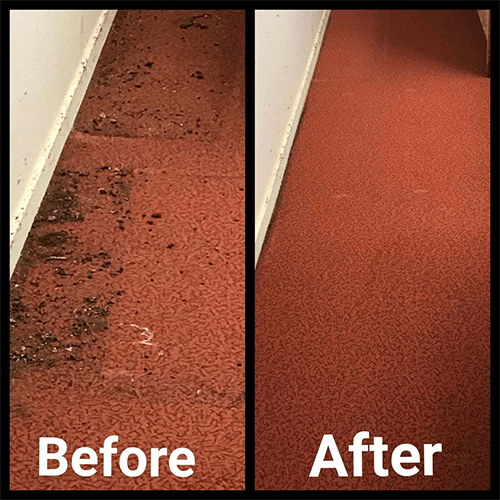 Commercial Stain Removal — Cairns, QLD — Big Red Carpet Shampooing