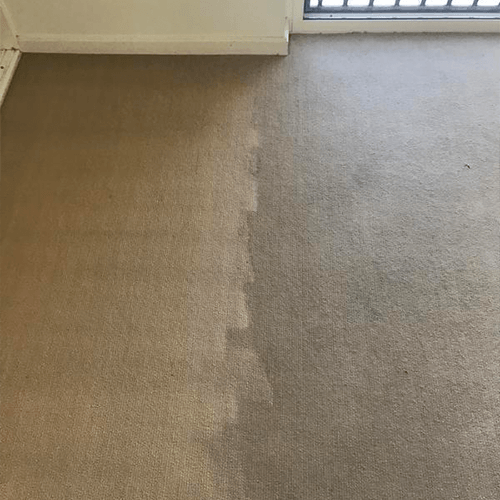 Commercial Carpet Steam Cleaning — Cairns, QLD — Big Red Carpet Shampooing