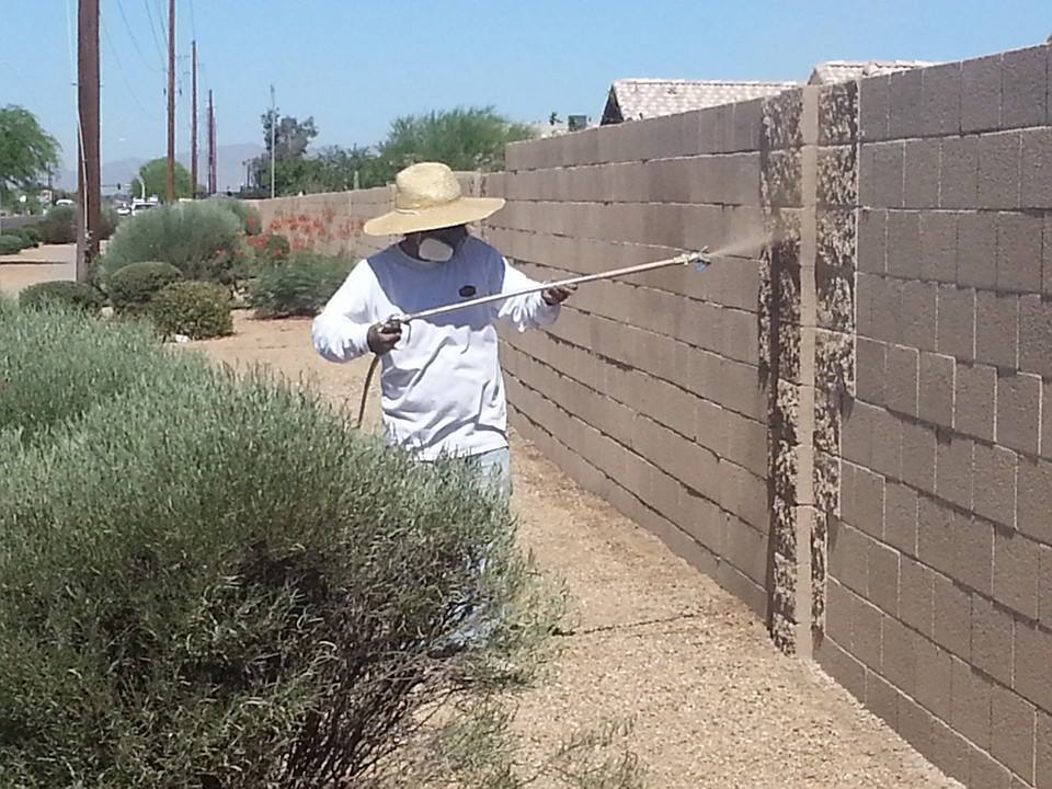 Exterior House and Wall Painting