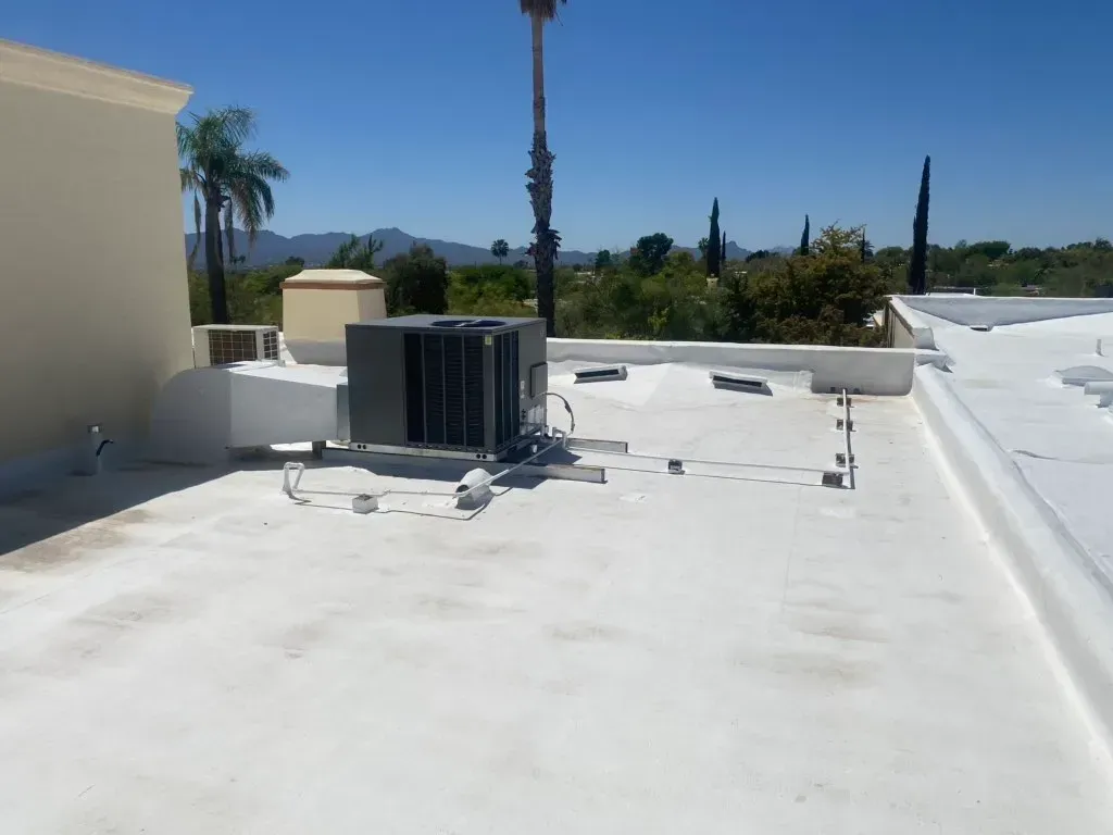 A white roof with a palm tree in the background