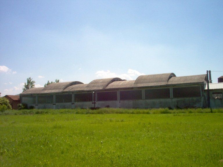 capannone con coperture in eternit