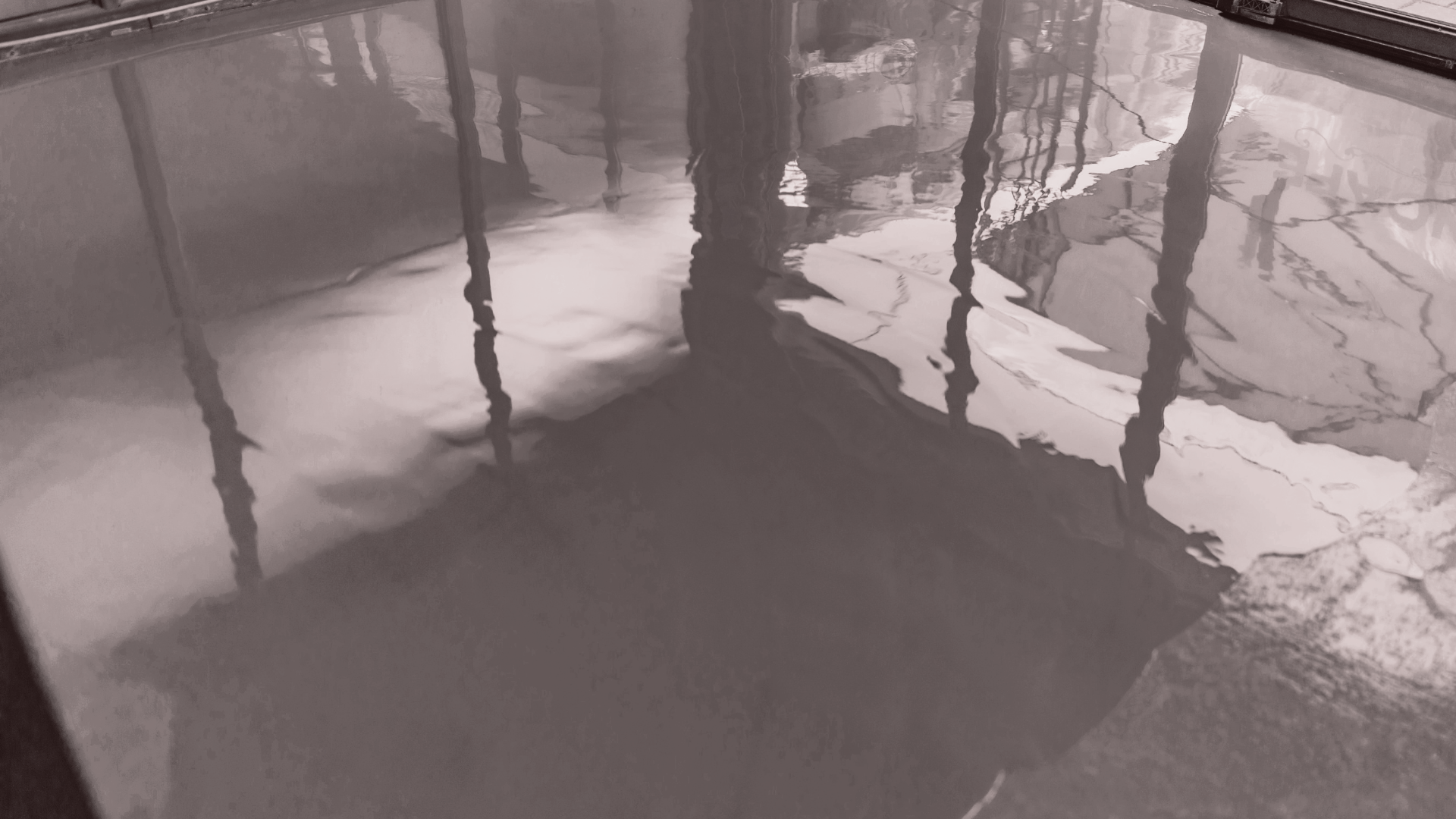 Newly poured, glossy gray concrete floor reflecting the surroundings.