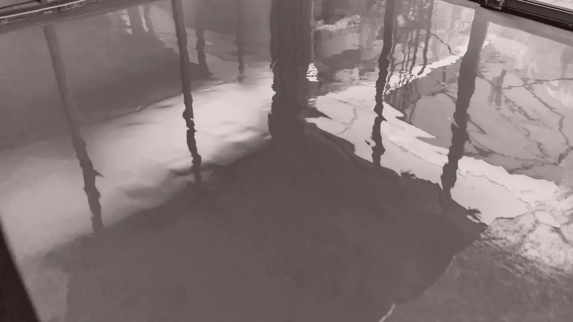 Newly poured, glossy gray concrete floor reflecting the surroundings.