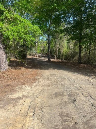A dirt road going through a forest with trees on both sides.