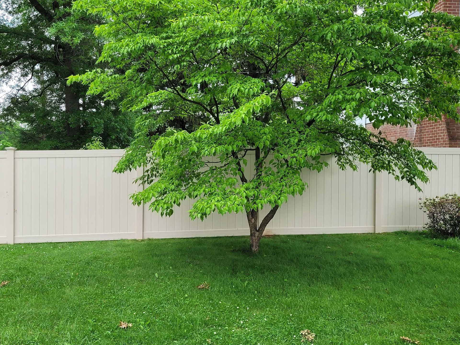 White vinyl fences — Shippensburg, PA — Nealy Fence