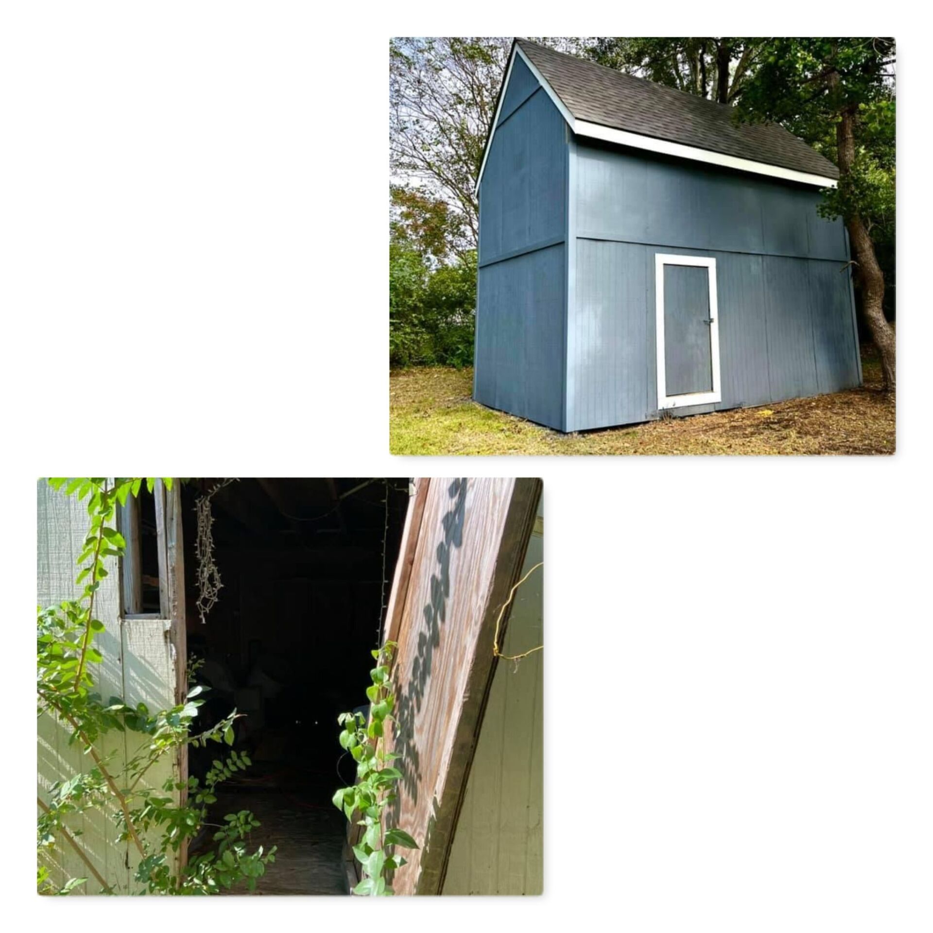 A picture of a blue shed with a white door