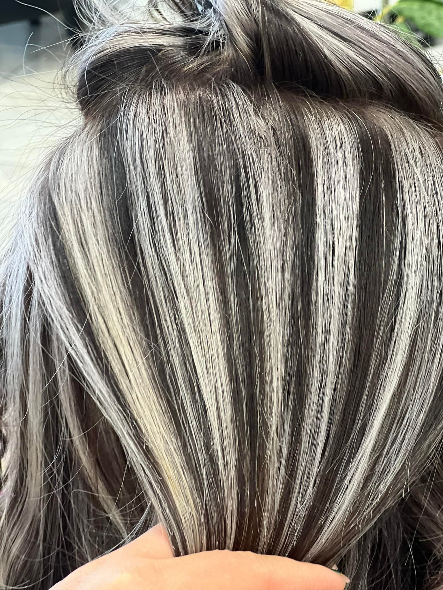 Close-up of gray and dark hair with thick highlights, held in a hand.