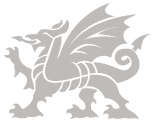 Gray stylized winged dragon emblem on a white background