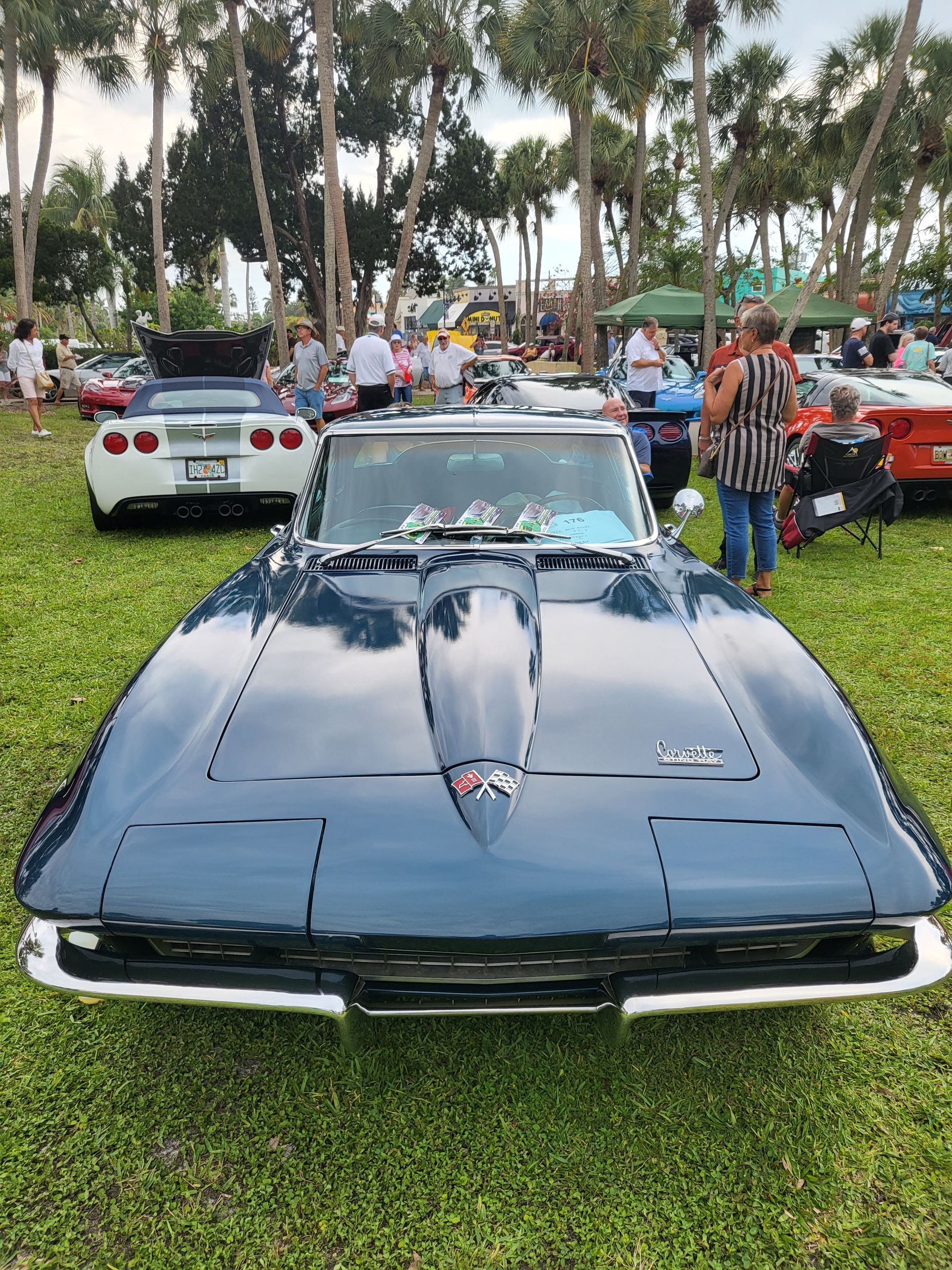 ceramic coating tampa