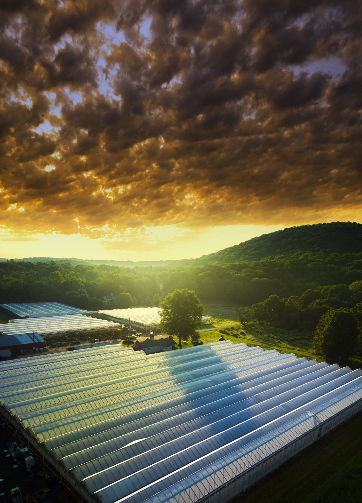 Aerial Drone Photography of Greenhouses at sunrise