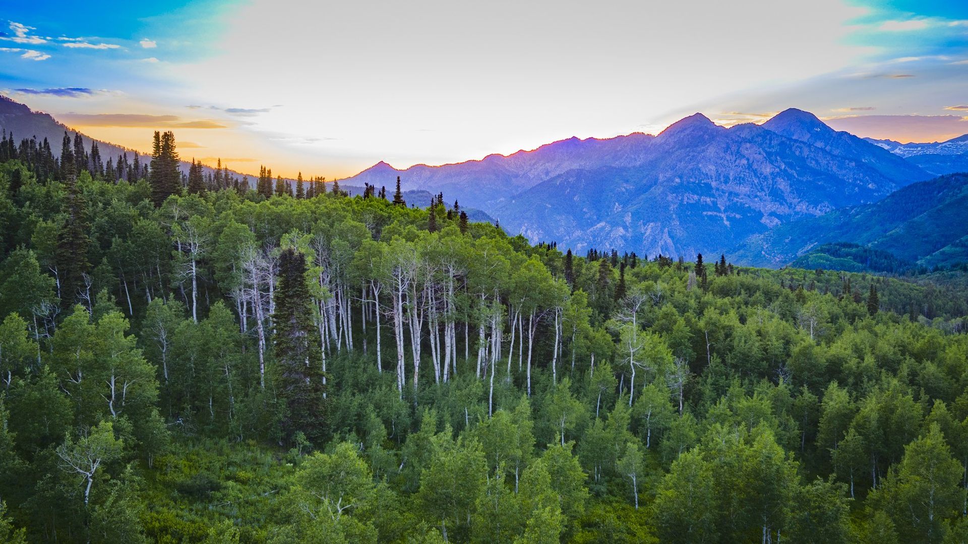 Aerial Drone Photography of Sunset  Mt Timpanogos with Aspen Trees