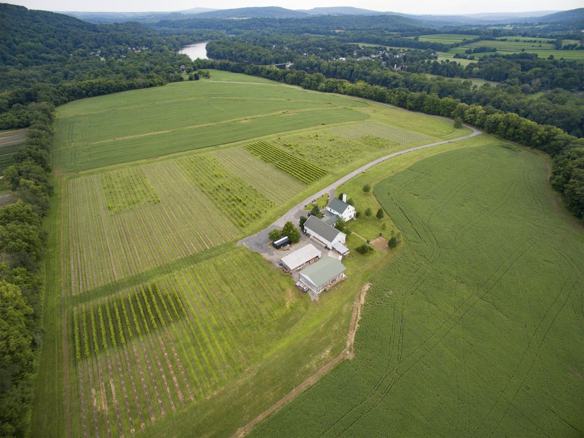 Aerial Drone Photography of Villa Milagros Vineyard New Jersey