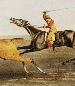 Sport and Leisure — Louisville, KY — A Book By Its Cover Used And Rare Books