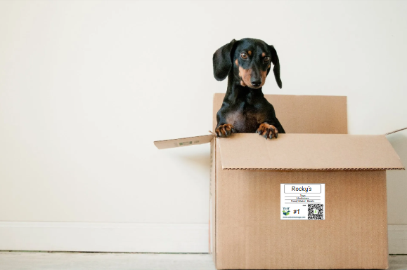 Easy Way To Move and Store