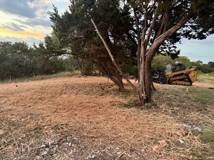 A skid steer mulching brush near a tree at dusk.