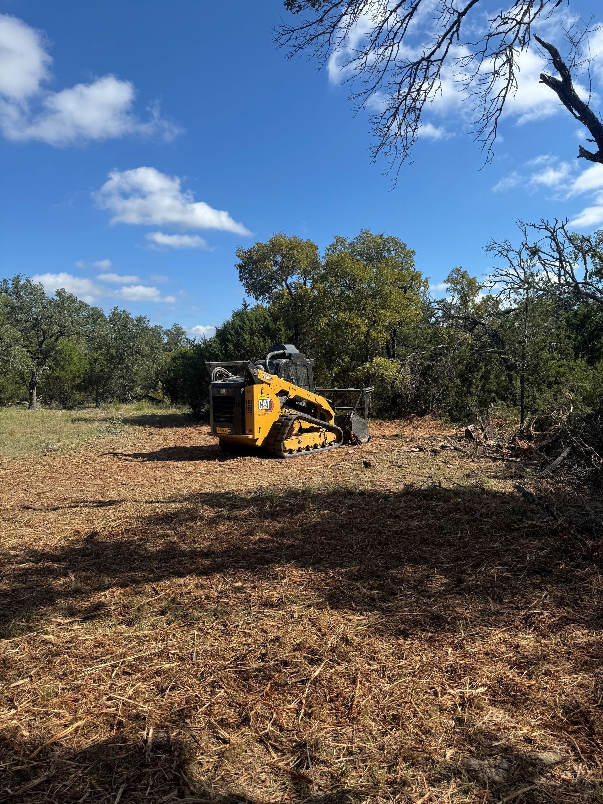 A yellow skid steer on wood chips in a clearing, surrounded by trees under a blue sky.
