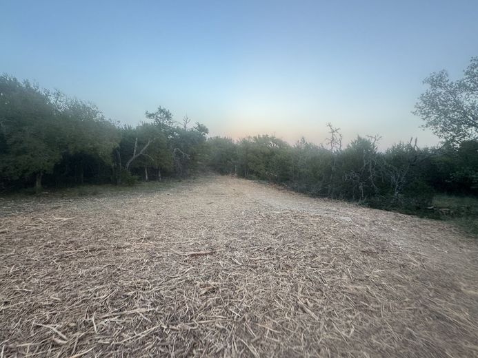 A path through a forest, covered in dry foliage. Blue sky above.