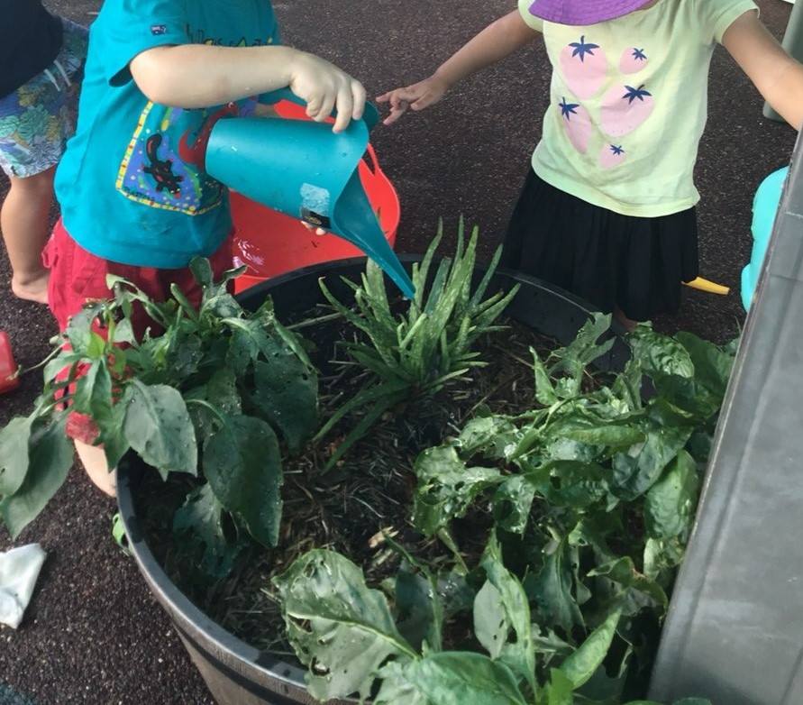Kids Watering The Plants — Early Childhood Education in Central Coast, NSW