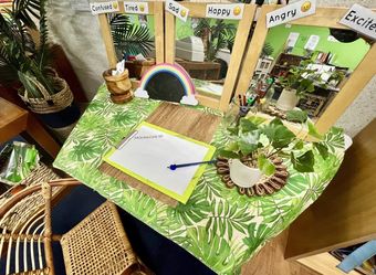 Different Reactions On The Mirror And Paper On Clip Board And Ballpen With Plants On Table — Early Childhood Education in Central Coast, NSW