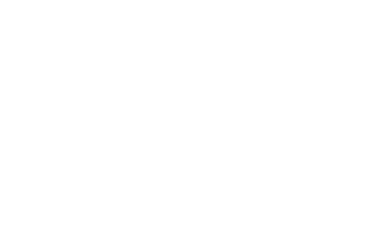 The Heater Guy logo