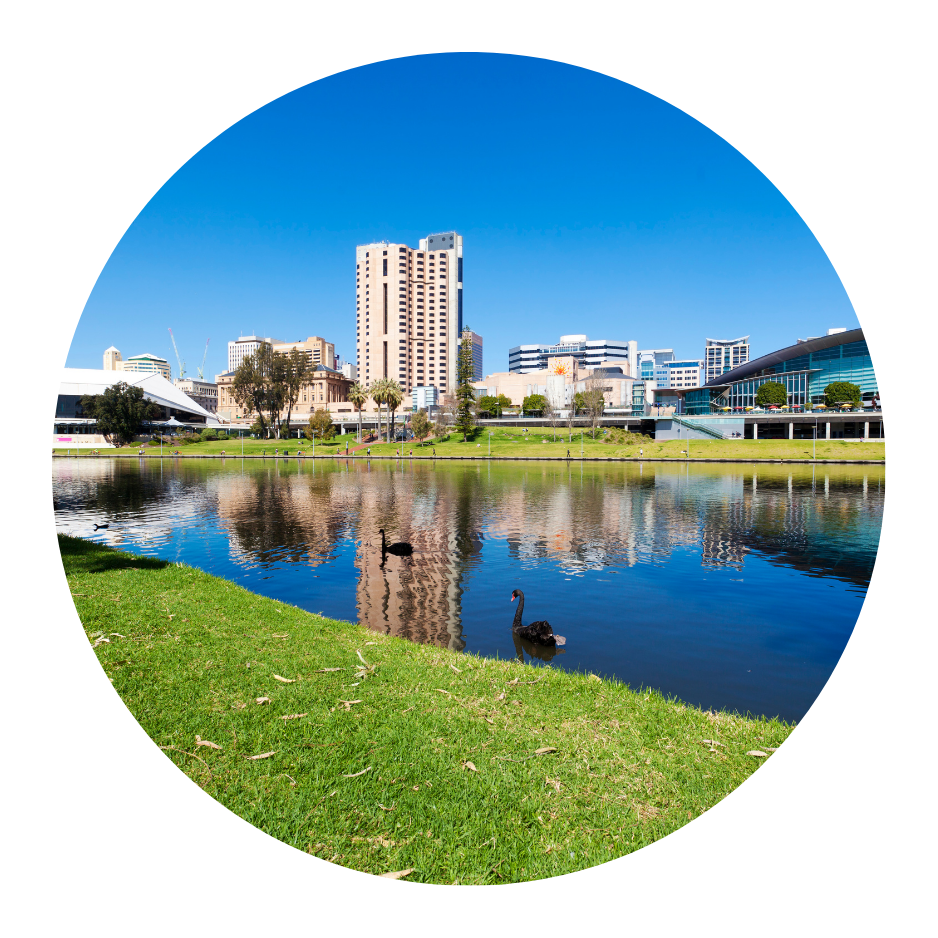 A black swan is swimming in a lake with a city in the background